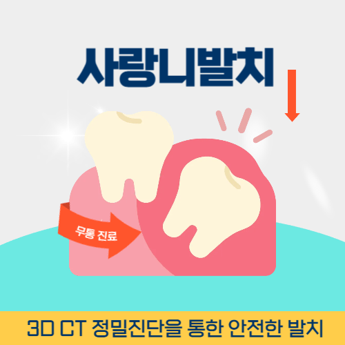 경기광주치과 경기도 광주시 치과 사랑니 발치